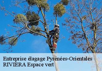 Entreprise élagage 66 Pyrénées-Orientales  RIVIERA Espace vert