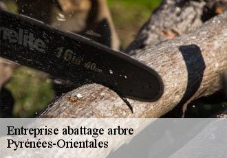 Entreprise abattage arbre Pyrénées-Orientales 