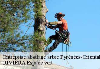 Entreprise abattage arbre 66 Pyrénées-Orientales  RIVIERA Espace vert