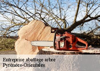 Entreprise abattage arbre Pyrénées-Orientales 