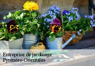 Entreprise de jardinage Pyrénées-Orientales 