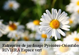 Entreprise de jardinage 66 Pyrénées-Orientales  RIVIERA Espace vert
