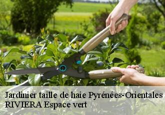 Jardinier taille de haie 66 Pyrénées-Orientales  RIVIERA Espace vert