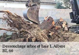 Dessouchage arbre et haie  l-albere-66480 BL 66 