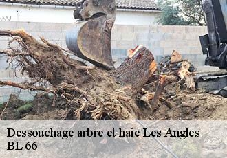 Dessouchage arbre et haie  les-angles-66210 BL 66 