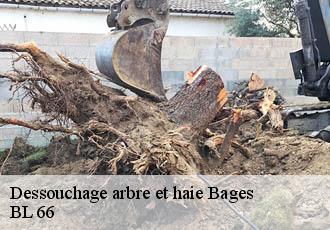 Dessouchage arbre et haie  bages-66670 BL 66 