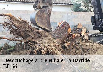 Dessouchage arbre et haie  la-bastide-66110 BL 66 