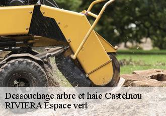 Dessouchage arbre et haie  castelnou-66300 RIVIERA Espace vert