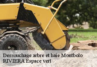 Dessouchage arbre et haie  montbolo-66110 RIVIERA Espace vert