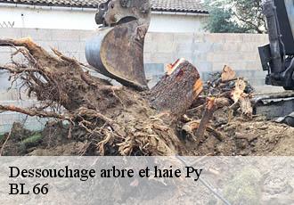 Dessouchage arbre et haie  py-66360 BL 66 