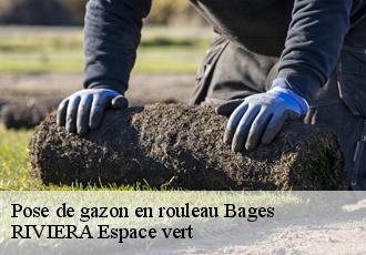 Pose de gazon en rouleau  bages-66670 RIVIERA Espace vert