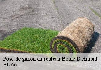 Pose de gazon en rouleau  boule-d-amont-66130 BL 66 