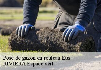 Pose de gazon en rouleau  eus-66500 RIVIERA Espace vert