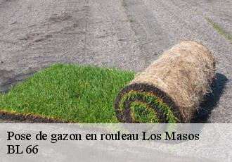 Pose de gazon en rouleau  los-masos-66500 BL 66 