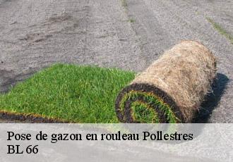 Pose de gazon en rouleau  pollestres-66450 BL 66 