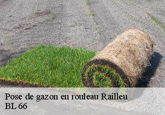 Pose de gazon en rouleau  railleu-66360 BL 66 