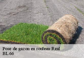 Pose de gazon en rouleau  real-66210 BL 66 