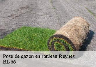 Pose de gazon en rouleau  reynes-66400 BL 66 