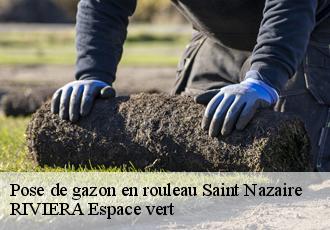 Pose de gazon en rouleau  saint-nazaire-66140 RIVIERA Espace vert