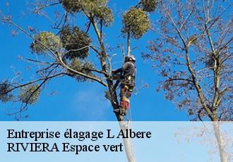 Entreprise élagage  l-albere-66480 RIVIERA Espace vert