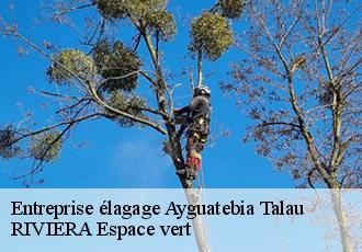 Entreprise élagage  ayguatebia-talau-66360 RIVIERA Espace vert