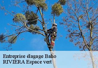 Entreprise élagage  baho-66540 RIVIERA Espace vert