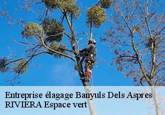 Entreprise élagage  banyuls-dels-aspres-66300 RIVIERA Espace vert