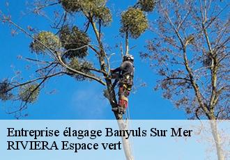 Entreprise élagage  banyuls-sur-mer-66650 RIVIERA Espace vert