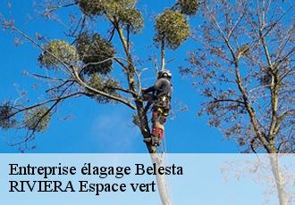 Entreprise élagage  belesta-66720 RIVIERA Espace vert
