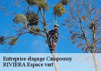 Entreprise élagage  campoussy-66730 RIVIERA Espace vert