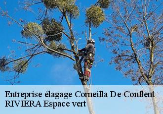 Entreprise élagage  corneilla-de-conflent-66820 RIVIERA Espace vert