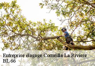 Entreprise élagage  corneilla-la-riviere-66550 BL 66 