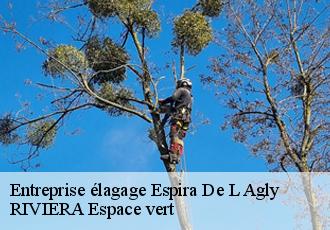 Entreprise élagage  espira-de-l-agly-66600 RIVIERA Espace vert