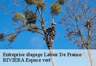 Entreprise élagage  latour-de-france-66720 RIVIERA Espace vert