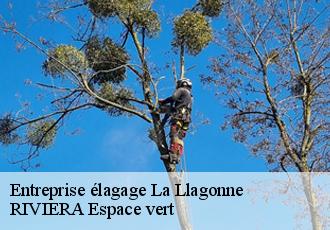 Entreprise élagage  la-llagonne-66210 RIVIERA Espace vert