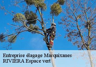 Entreprise élagage  marquixanes-66320 RIVIERA Espace vert