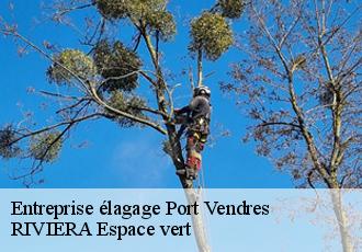 Entreprise élagage  port-vendres-66660 RIVIERA Espace vert