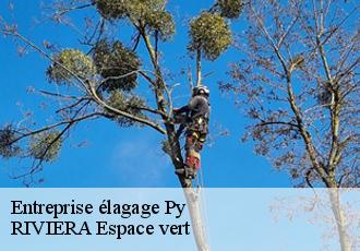 Entreprise élagage  py-66360 RIVIERA Espace vert
