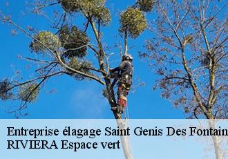 Entreprise élagage  saint-genis-des-fontaines-66740 RIVIERA Espace vert