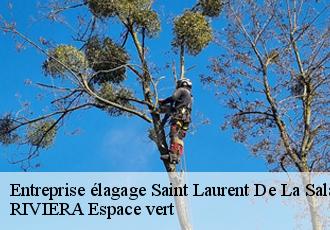 Entreprise élagage  saint-laurent-de-la-salanque-66250 RIVIERA Espace vert