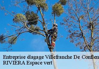 Entreprise élagage  villefranche-de-conflent-66500 RIVIERA Espace vert