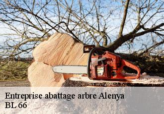 Entreprise abattage arbre  alenya-66200 BL 66 