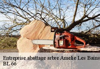 Entreprise abattage arbre  amelie-les-bains-palalda-66110 BL 66 