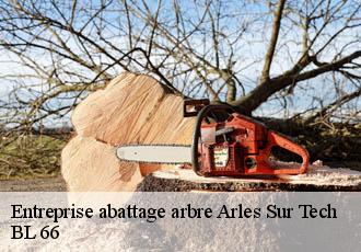 Entreprise abattage arbre  arles-sur-tech-66150 BL 66 