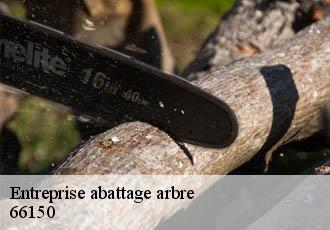 Entreprise abattage arbre  66150