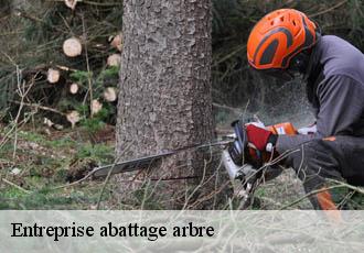 Entreprise abattage arbre