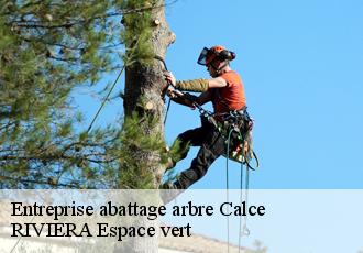 Entreprise abattage arbre  calce-66600 RIVIERA Espace vert