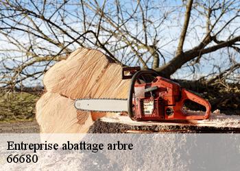 Entreprise abattage arbre  66680