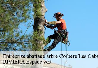 Entreprise abattage arbre  corbere-les-cabanes-66130 RIVIERA Espace vert