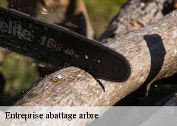 Entreprise abattage arbre